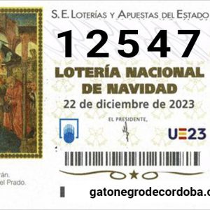 12547_loteria_navidad_2023_gato_negro_de_cordoba_compra_online