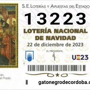 13223_loteria_navidad_2023_gato_negro_de_cordoba_compra_online