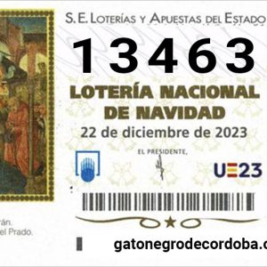 13463_loteria_navidad_2023_gato_negro_de_cordoba_compra_online