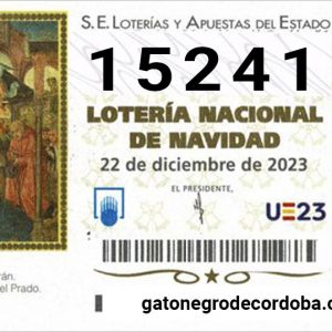 15241_loteria_navidad_2023_gato_negro_de_cordoba_compra_online