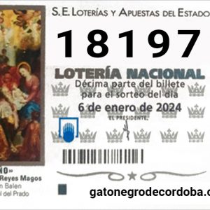 18197_loteria_el_niño_2024_gato_negro_de_cordoba_compra_online