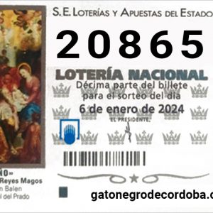 20865_loteria_el_niño_2024_gato_negro_de_cordoba_compra_online