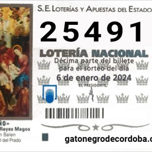 25491_loteria_el_niño_2024_gato_negro_de_cordoba_compra_online